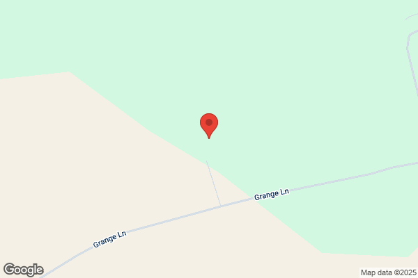 Branston Techniques