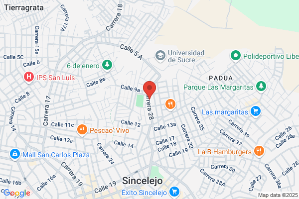 Academia De Las Americas
