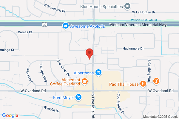 Mainspring Dental Training