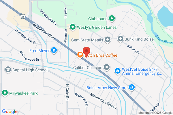 Boise Gutter