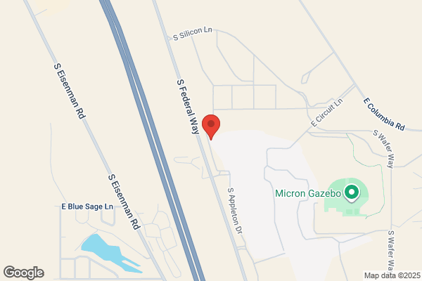 Micron Technology Inc