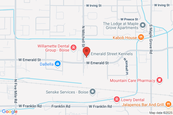 Emerald Street Kennels