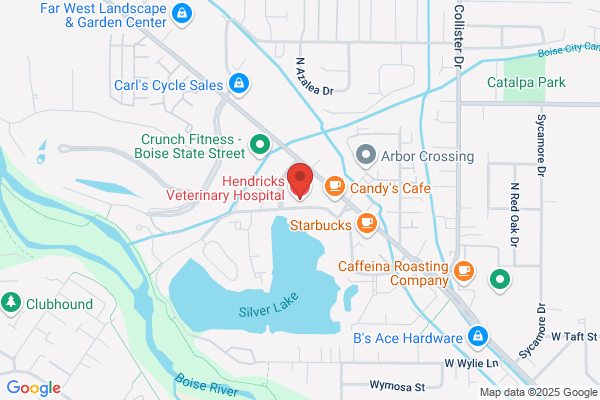 Hendricks Veterinary Hospital