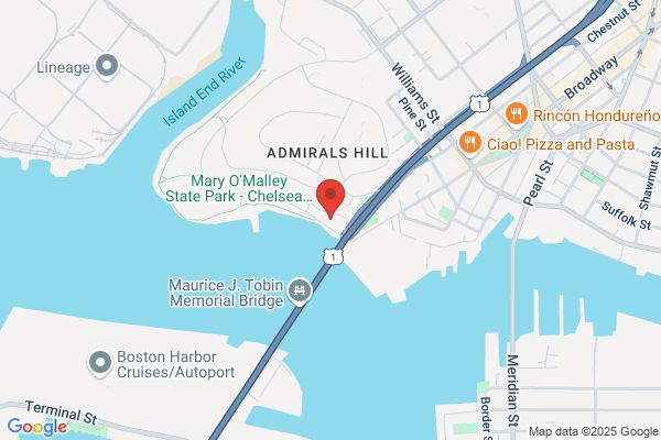Boston Architectural Team