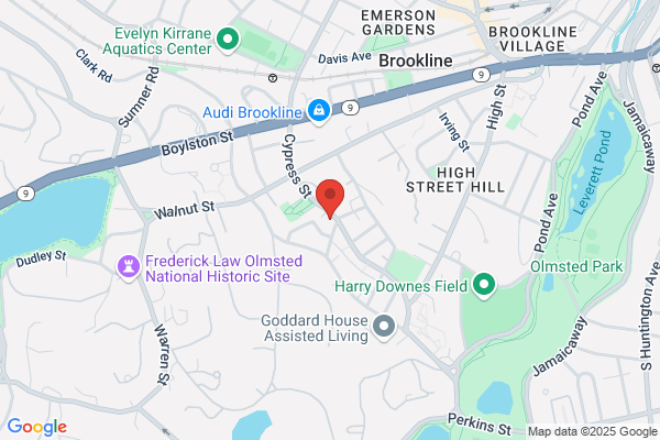 Garage Door Repair Brookline
