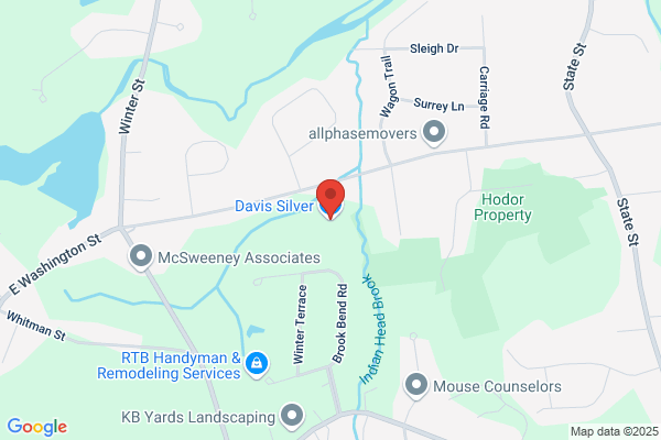 Davis Silver Co