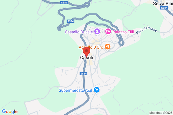Casoli Michael A Attorney