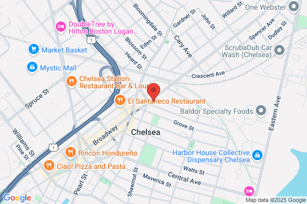 Chelsea City of, Library