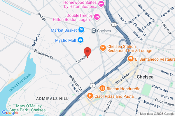Fresenius Kidney Care Chelsea