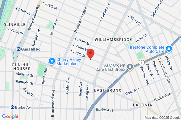 Urban SEO Center | New York City SEO Expert