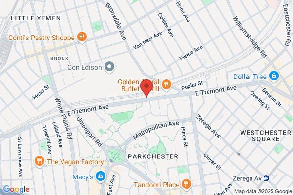 Palumbo Brothers Auto Repair