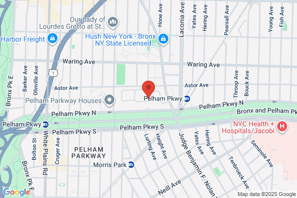 New York Institute For Special Education