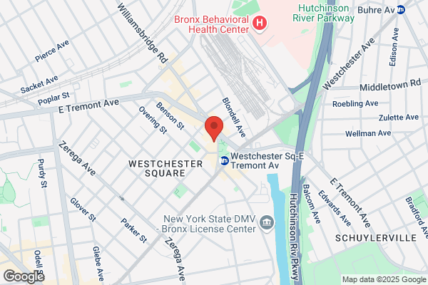 Diamond Braces- Westchester Square