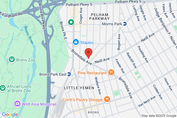Bronx Park Dental Group