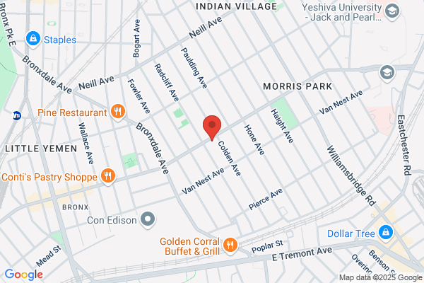 Bronx Rehabilitation Medicine & Physical Therapy