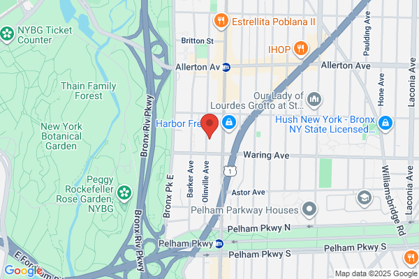 My Mold Removal NYC
