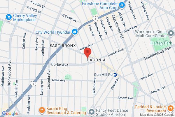 Bronx Fire Extinguisher Inspection & Service Co.