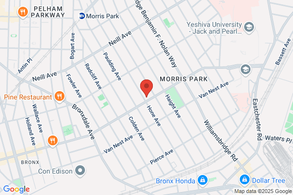 Morris Park Flowers & Bridal Inc