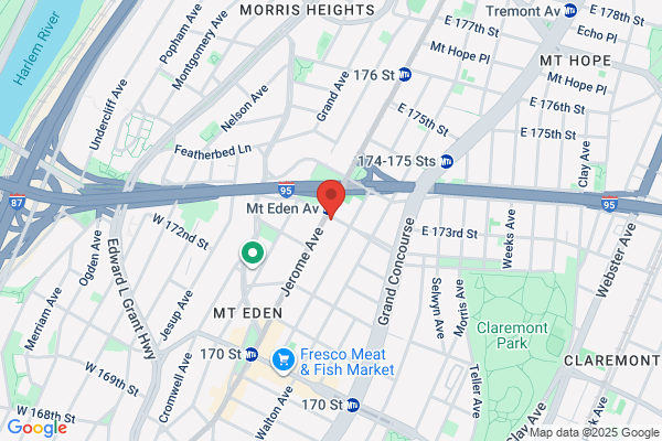 Mt Eden Florist
