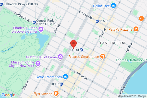 New York City Housing Authority Clinton
