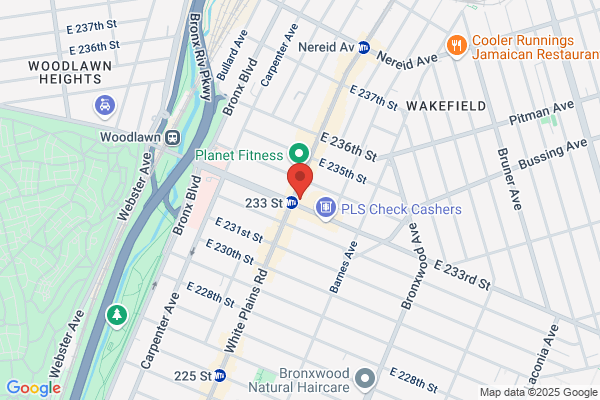 Joe's Pizza