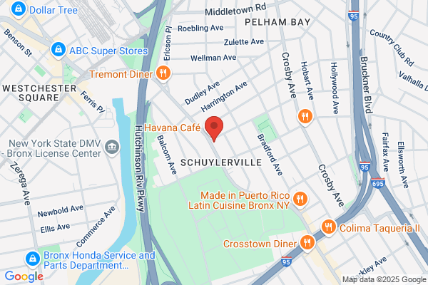 Amelia M Lewis Realtor