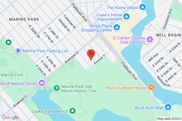 Brooklyn Allergy Services: Rand Stephen P MD