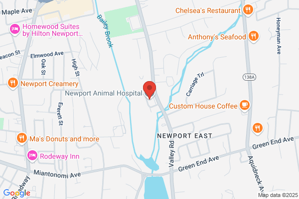 Newport Animal Hospital