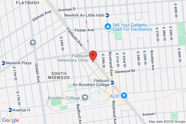 Central Brooklyn Veterinary Center