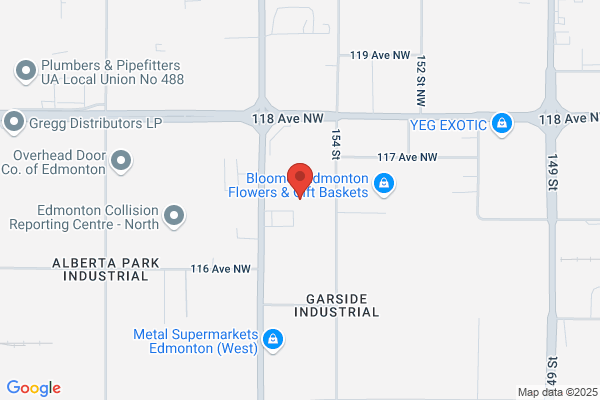 Kross Town Collision