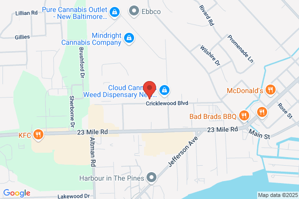 Bayview Auto Body Inc