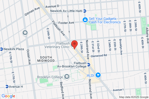 40 Flatbush Avenue Realty Associates