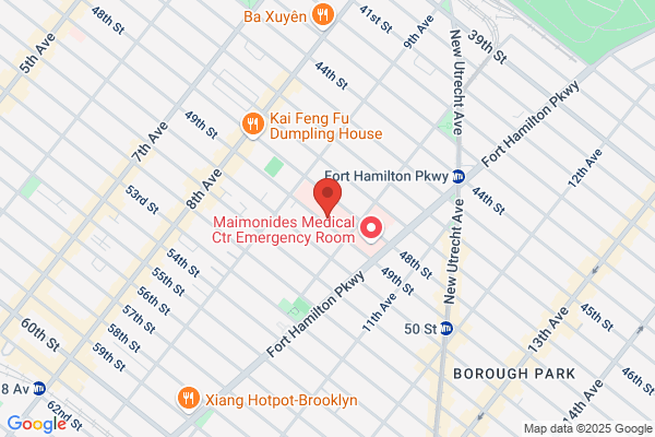 ELIE TRAUBE, MD – Maimonides Medical Center