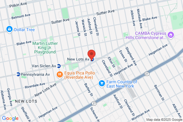New Lots Pharmacy Inc