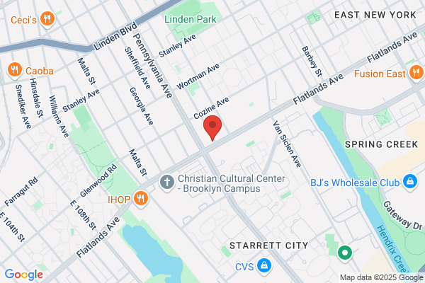 Brooklyn Public Library, Branches, Spring Creek