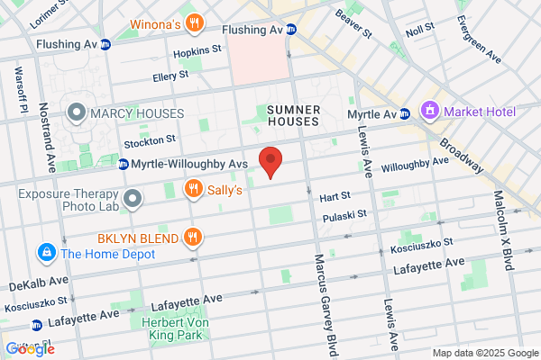 A1 Bed Bug Exterminator Brooklyn