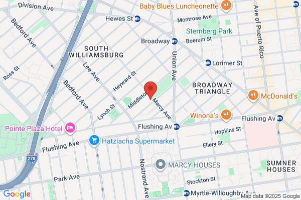 Five Boro Mold Specialist