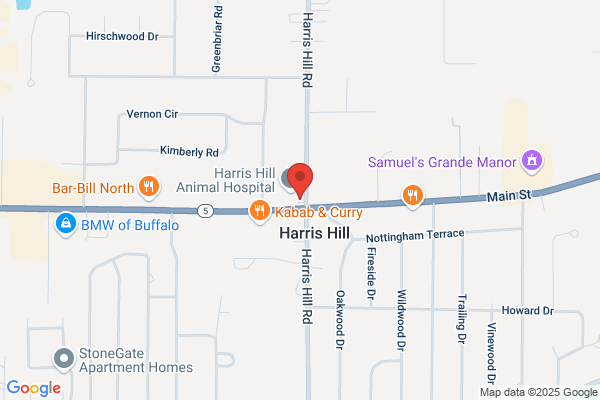 Dadswell's Harris Hill Auto Service