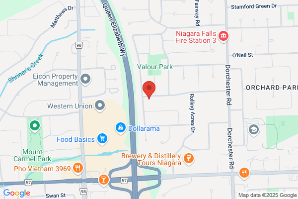 Niagara Systems & Software Inc