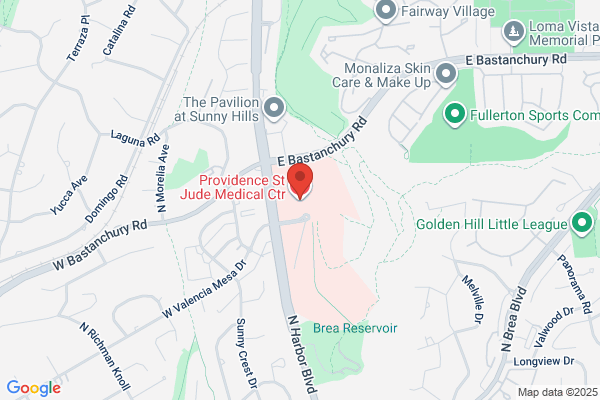 St Jude Medical