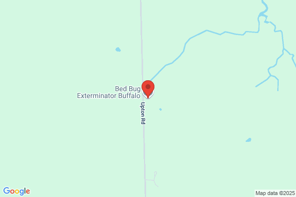 Buffalo Bed Bug Pest Control