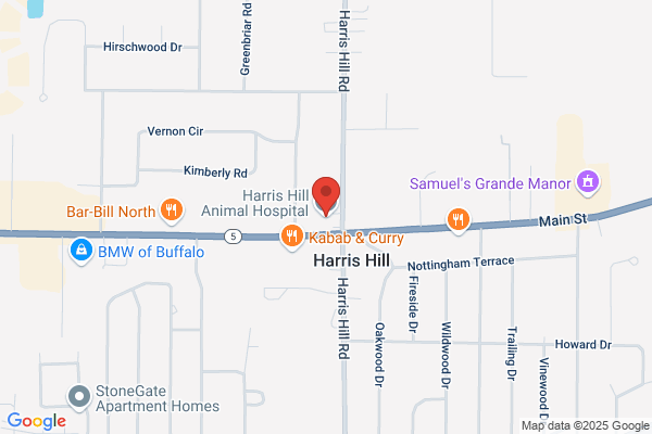 Harris Hill Animal Hospital