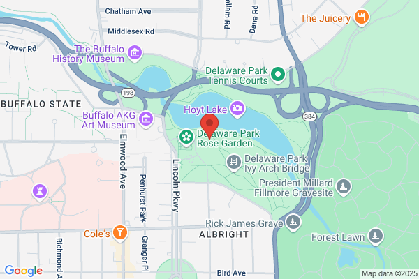 Shakespeare In Delaware Park