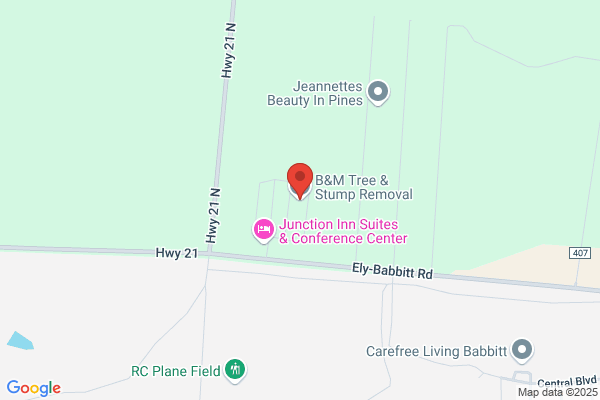 B&M Tree & Stump Removal