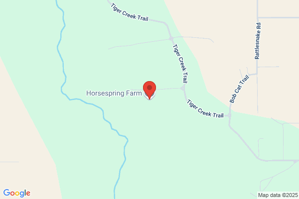 Horsespring Farm