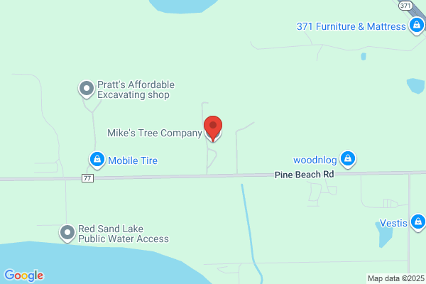 Rollins Mike Tree & Stump Service
