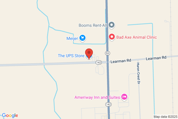 The UPS Store