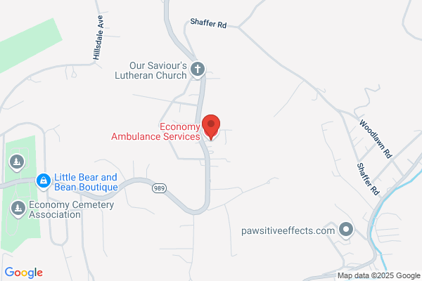 Ambulance, Economy