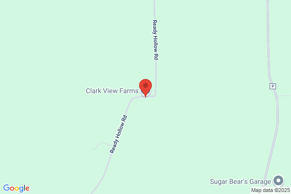 Clark View Farms