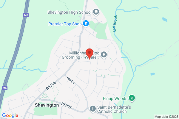 Enviro Roofing & Construction